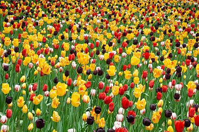 网易与虚渊玄合作《Rusty Rabbit》TGS亮相 明年发售