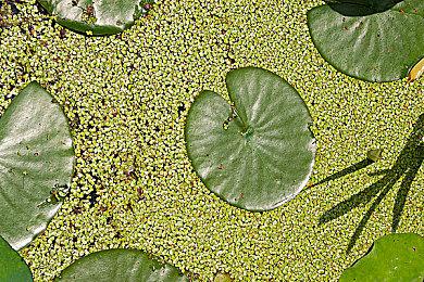 前任天堂资深制作人：游戏创意最重要 胜过巨额预算