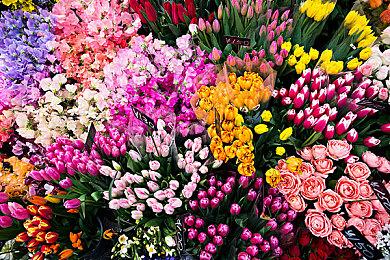 《inZOI》有3D打印功能：可将现实照片变成游戏内物品